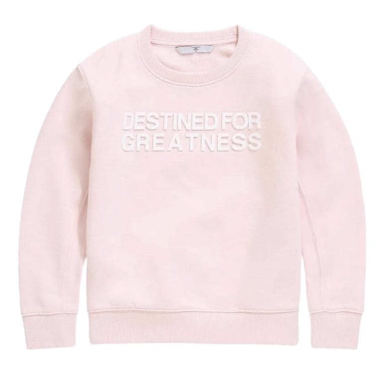 Boys Destined For Greatness Crewneck Sweatshirt (Light Pink)