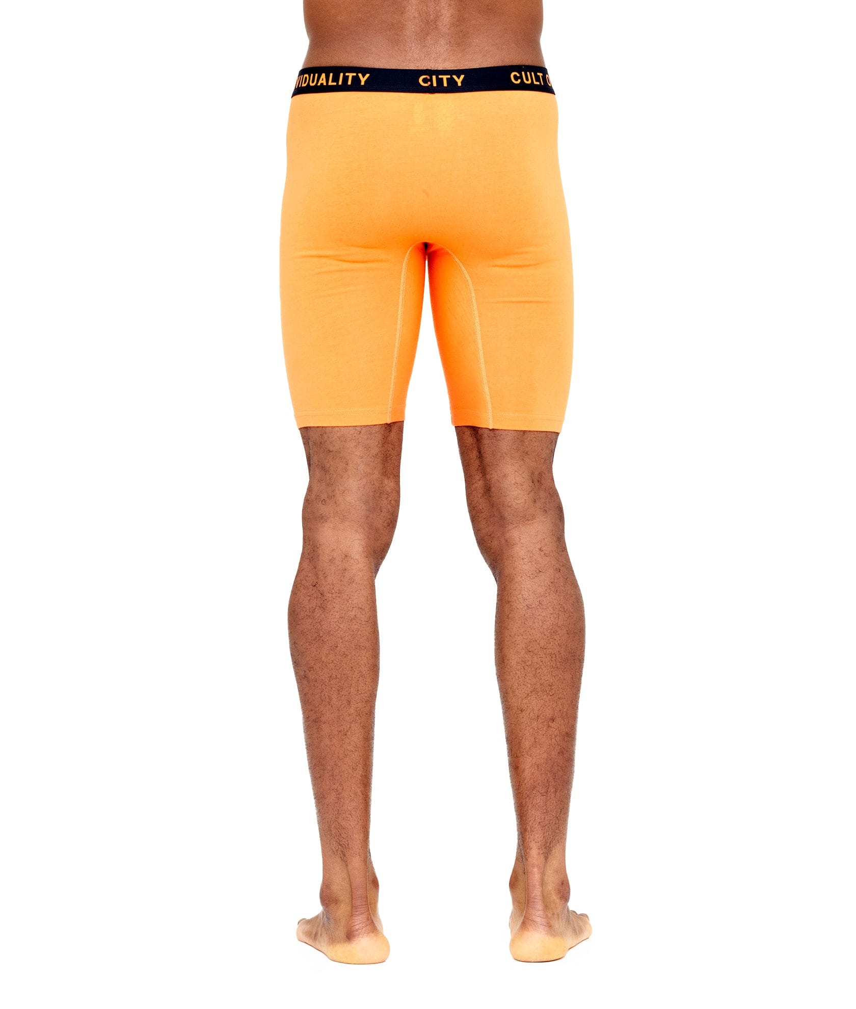 CULT BRIEFS 2 PACK "ANARCHY" PRINT/CARROT SOLID