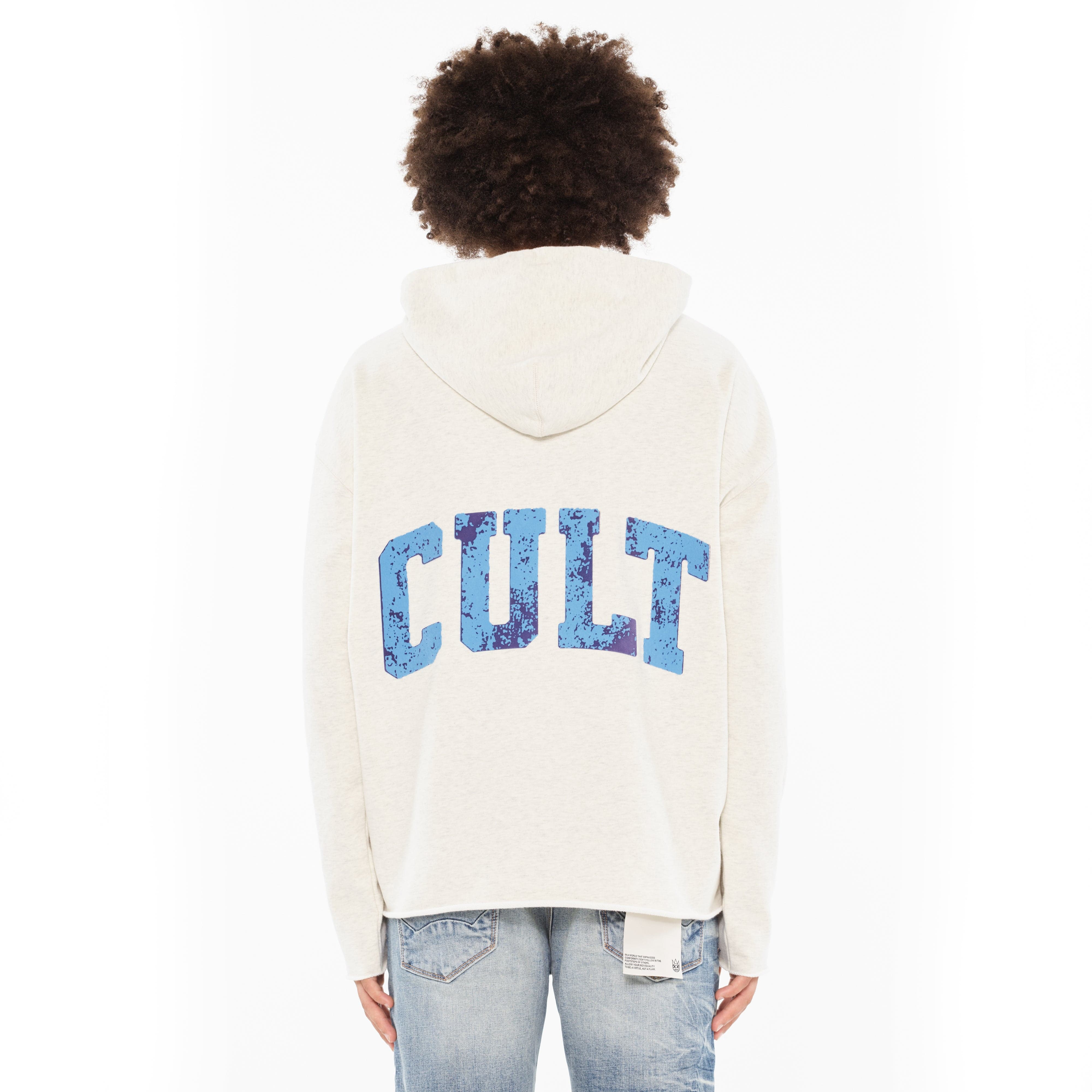 Cult's Pullover Novelty Sweatshirt in Cream Heather