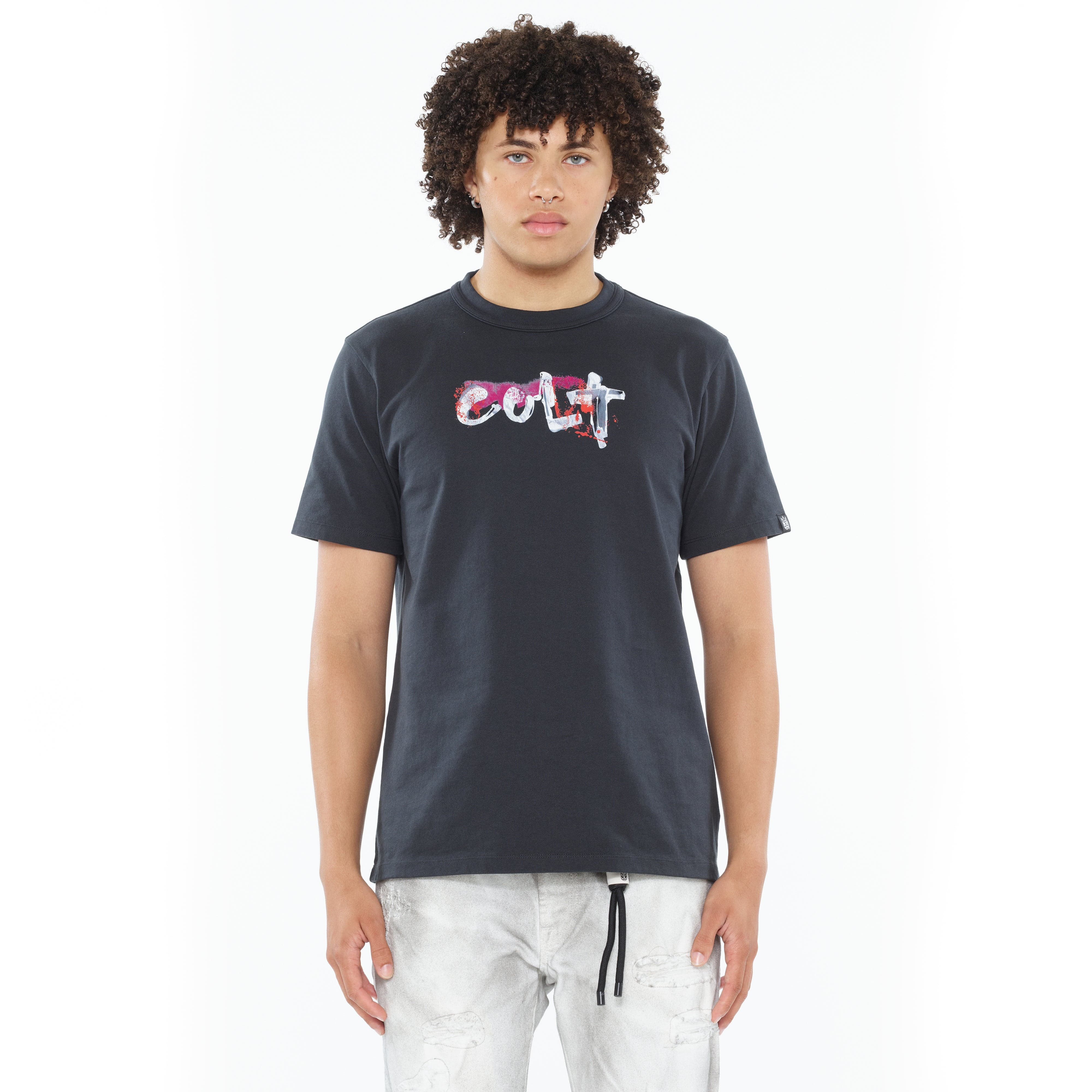 Cult's Heavyweight Short Sleeve Crew Neck Tee "Artist Logo" in Steel