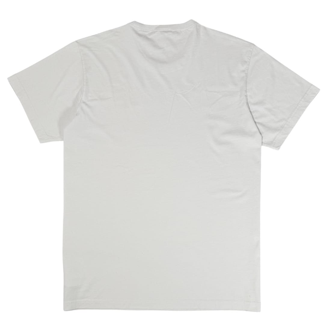 G Star Raw Natural State T-Shirt (Micro Chip) D20718-336-C741