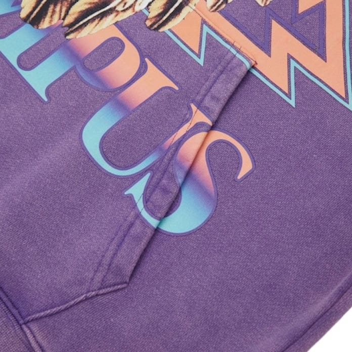 Campus Goods World Tour Hoodie (Vintage Purple) CG-S25-23