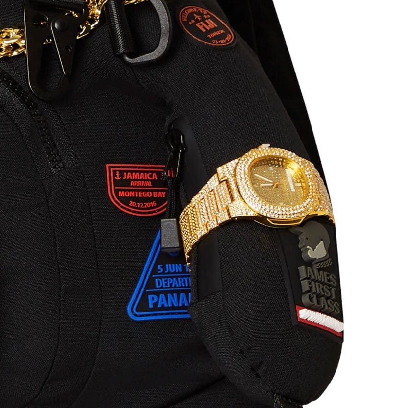 Sprayground James First Class I Got These Stamps Moneybear Backpack