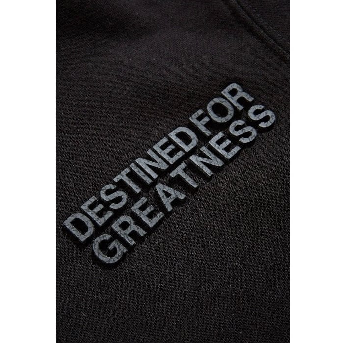 Kids Destined For Greatness Pullover Hoodie (Black)