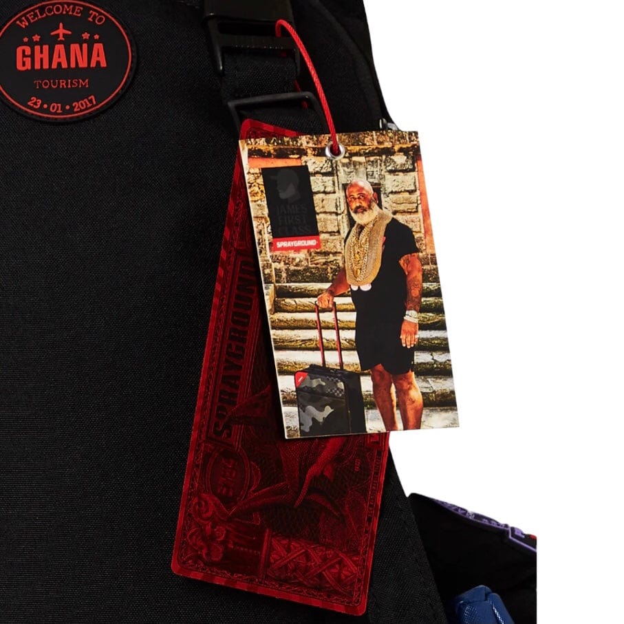 Sprayground James First Class I Got These Stamps Moneybear Backpack