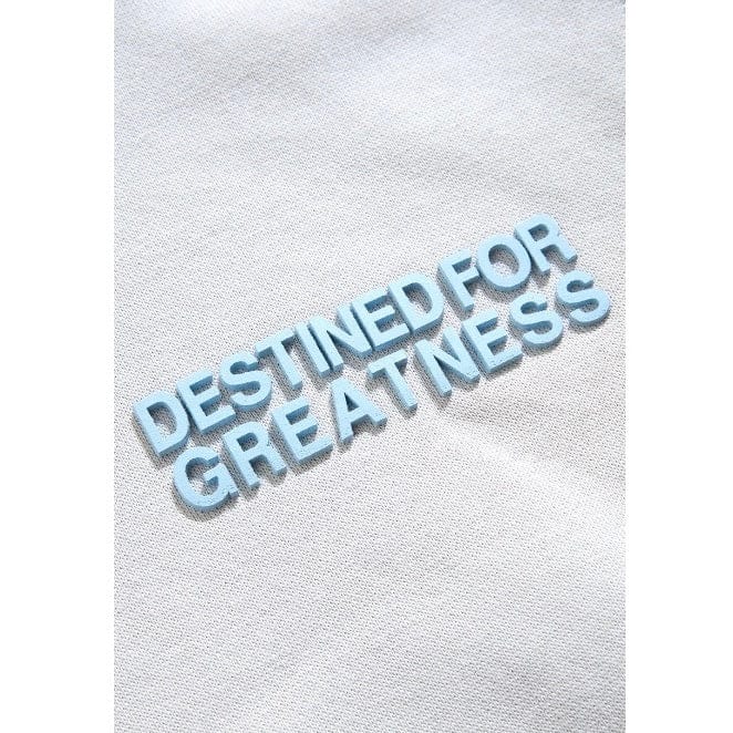 Kids Destined For Greatness Pullover Hoodie (Cement)