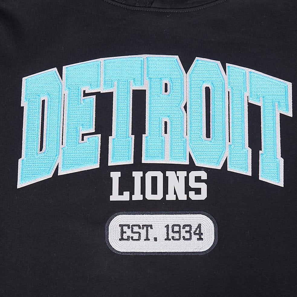 Pro Standard NFL Detroit Lions City Arch Fleece Po Hoodie (Black)