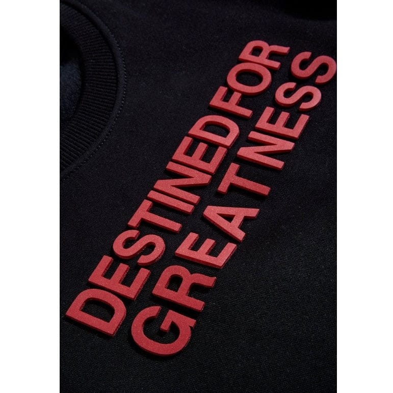 Kids Destined For Greatness Crewneck Sweatshirt (Crimson)