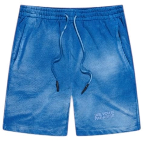 Jordan Craig Retro Paradise Washed Shorts (Blue) 9117S