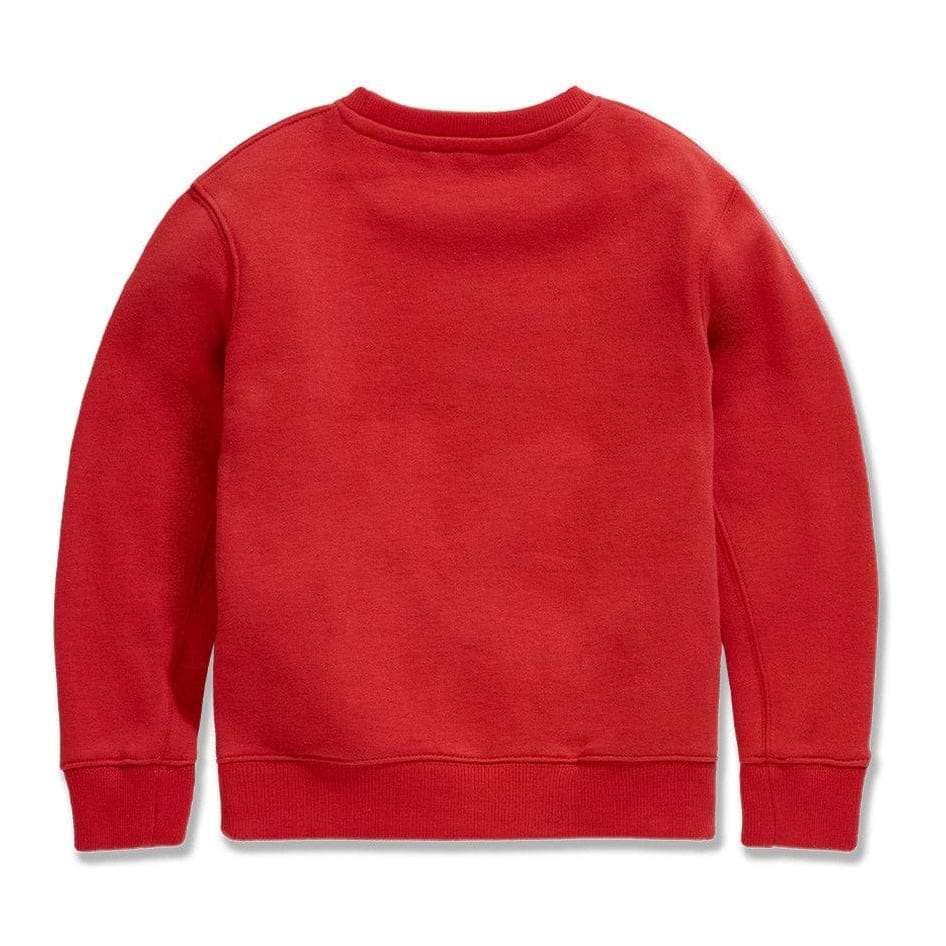 Boys Destined For Greatness Crewneck Sweatshirt (Red)