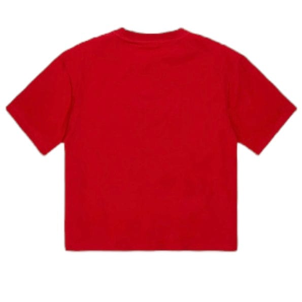Jordan Craig Burbank Cropped Boxy T Shirt (Chicago) 9152A