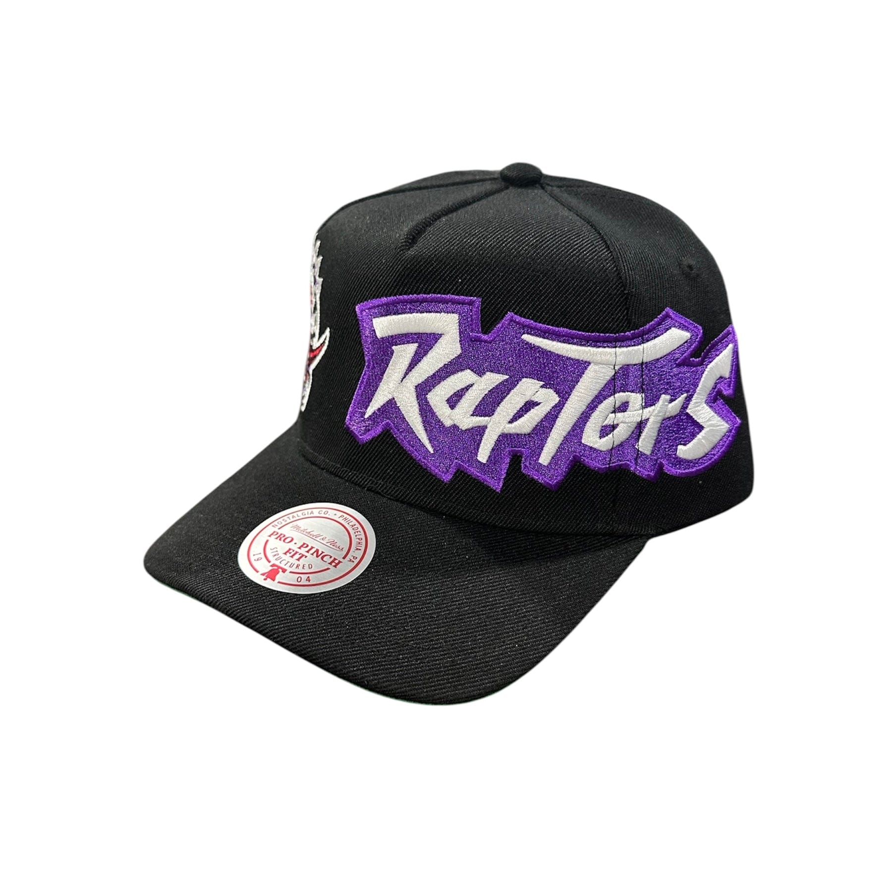 Mitchell & Ness Nba Toronto Raptors Busted Pro Snapback (Black)