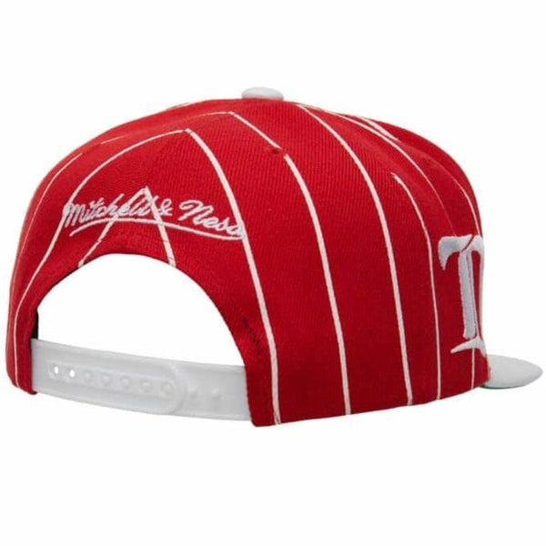 Mitchell & Ness NHL Detroit Red Wings Team Pin Snapback (Red/White)
