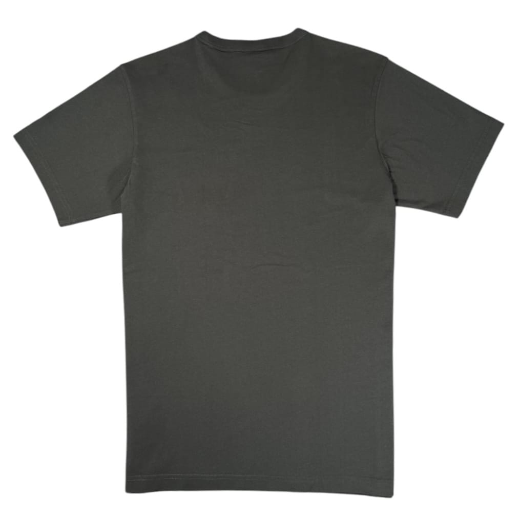 G Star Raw Natural State T-Shirt (Cloack) D20718-336-5812