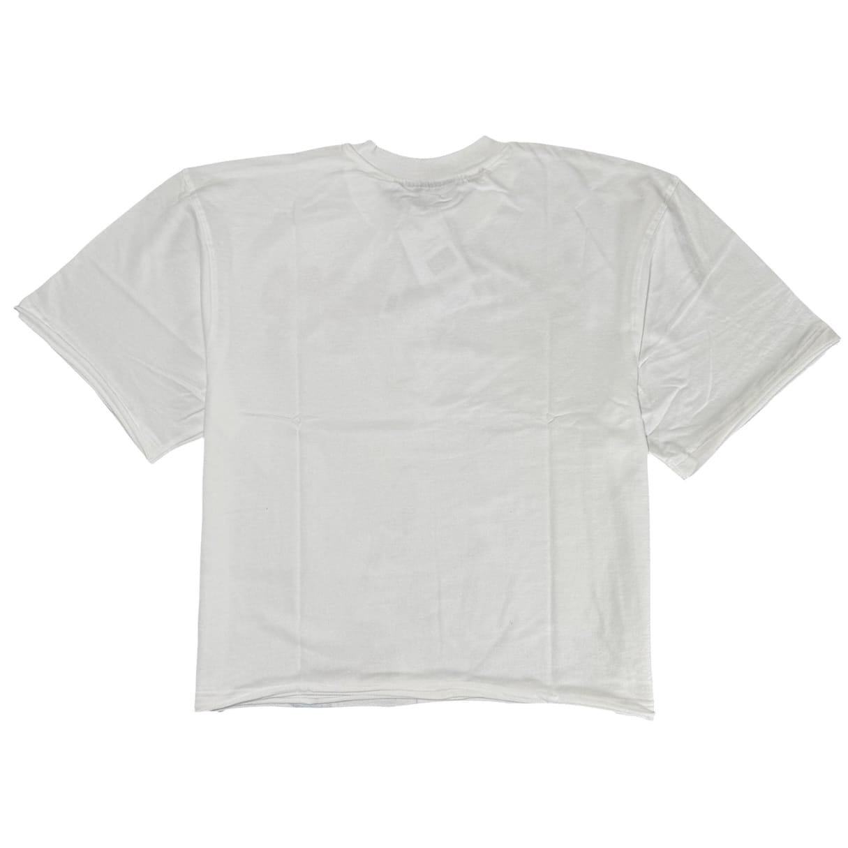 Rebel Minds Masterpiece Angel French Terry Crop Tee (White) 610-11102
