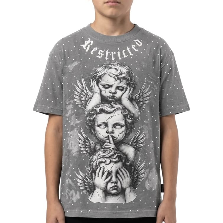 Kids Premium Disaster Restricted Stone Tee (Grey)