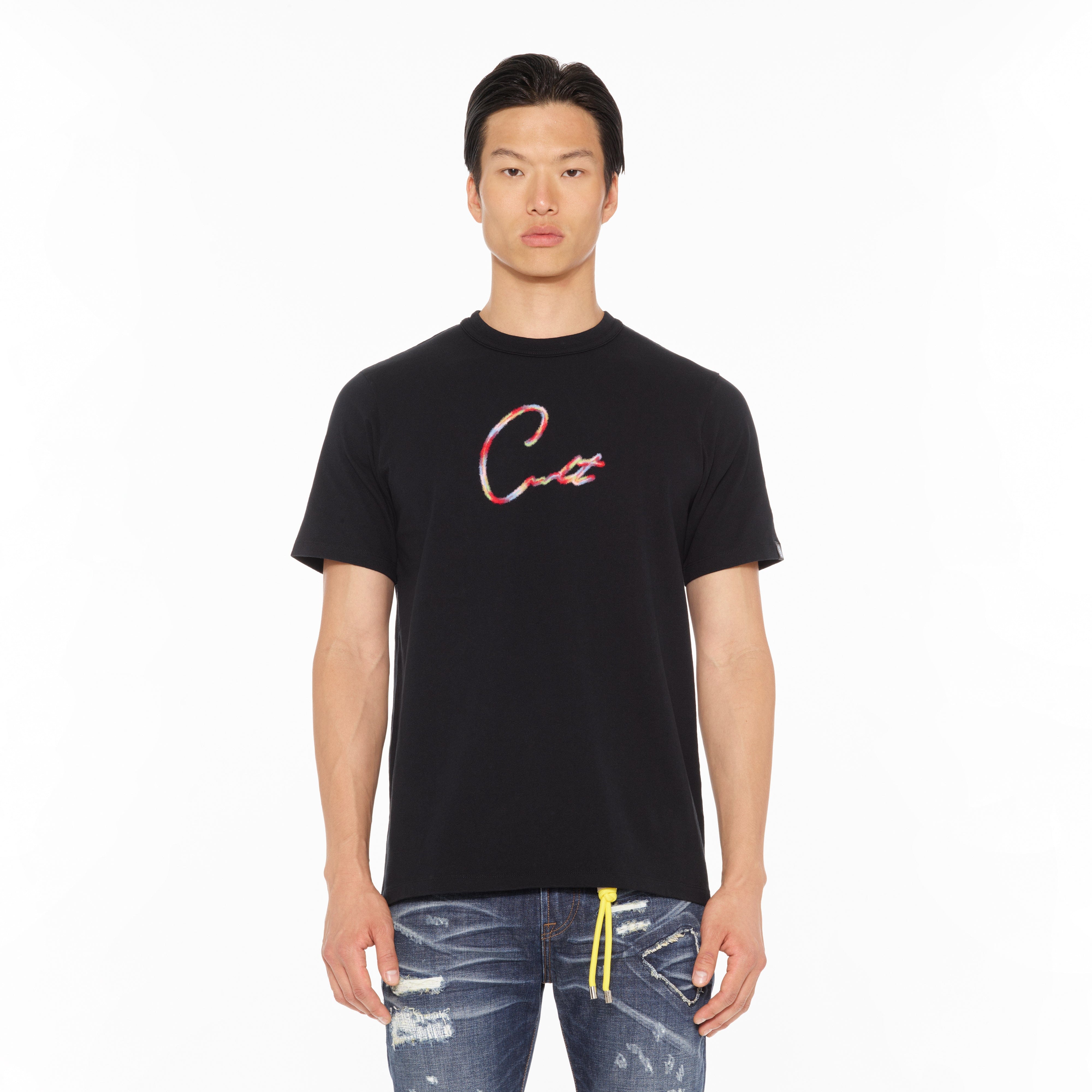 Cult's Heavyweight Short Sleeve Crew Neck Tee "Script Logo" in Black