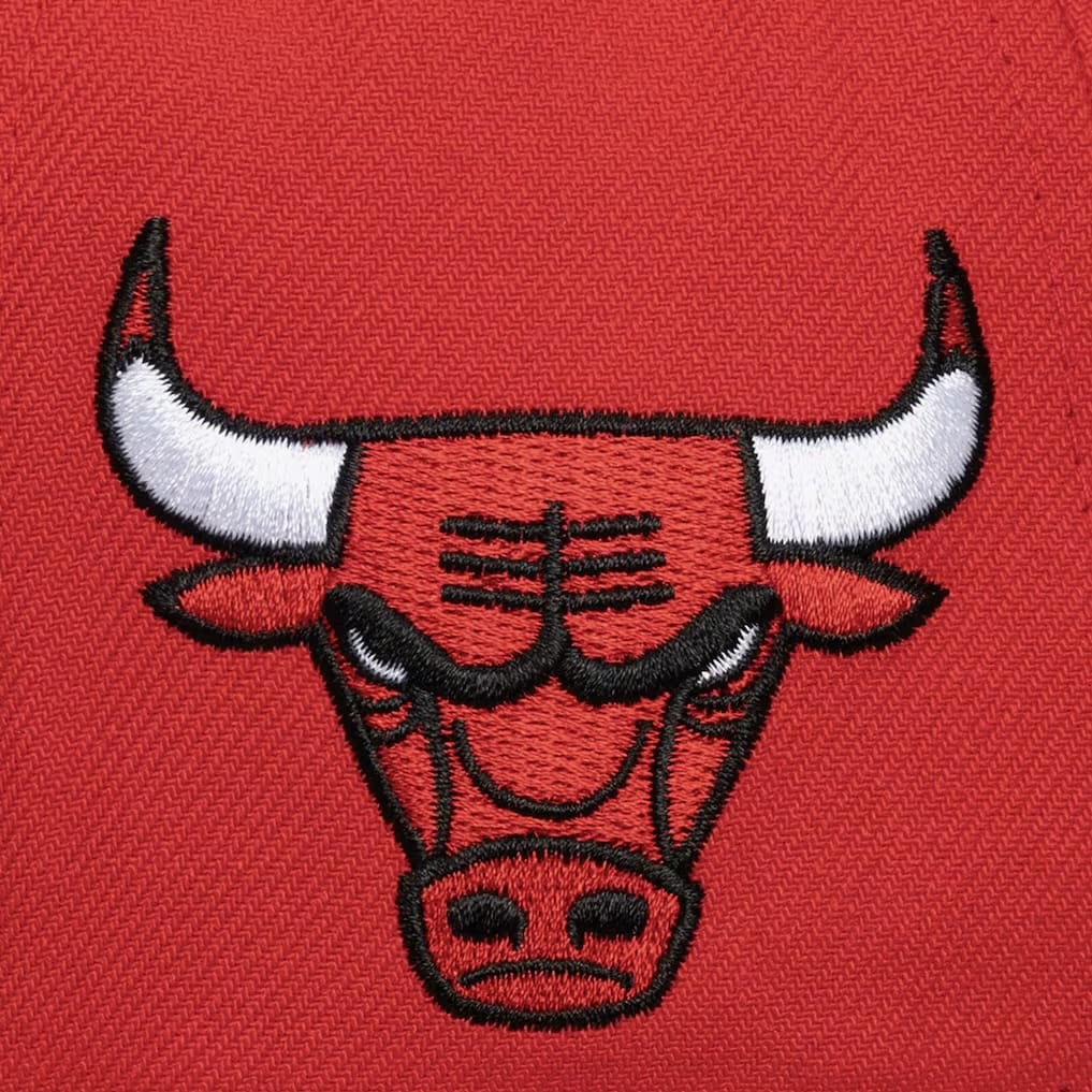 Mitchell & Ness NBA Chicago Bulls Head Coach Snapback (Red)