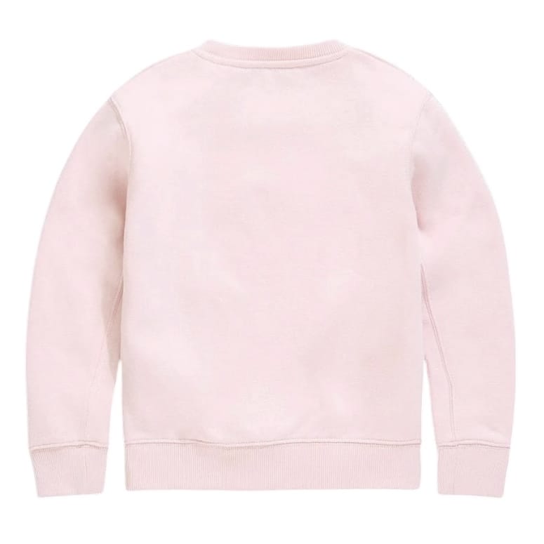 Boys Destined For Greatness Crewneck Sweatshirt (Light Pink)