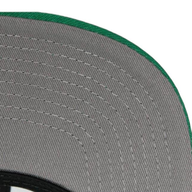 Mitchell & Ness Nba Boston Celtics Team Ground 2.0 Snapback (Green)