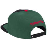 Mitchell & Ness Nba Chicago Bulls Day One Snapback (Green/Red)