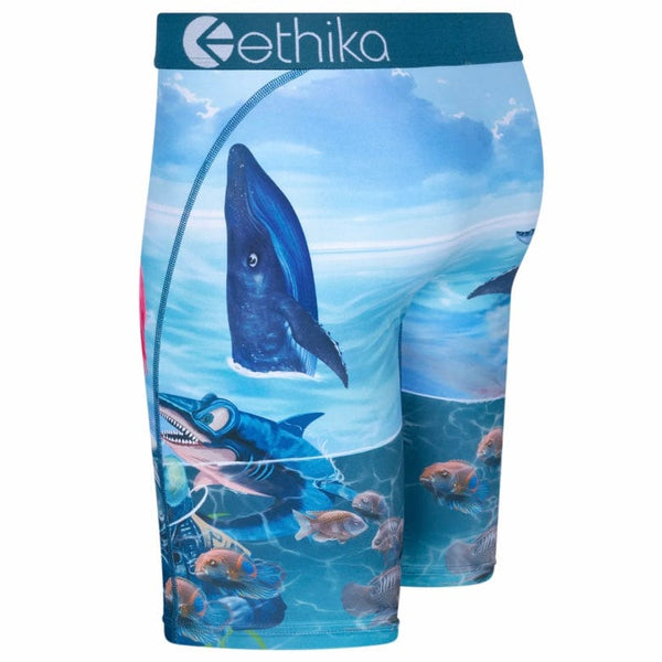 Ethika Voyage Underwear