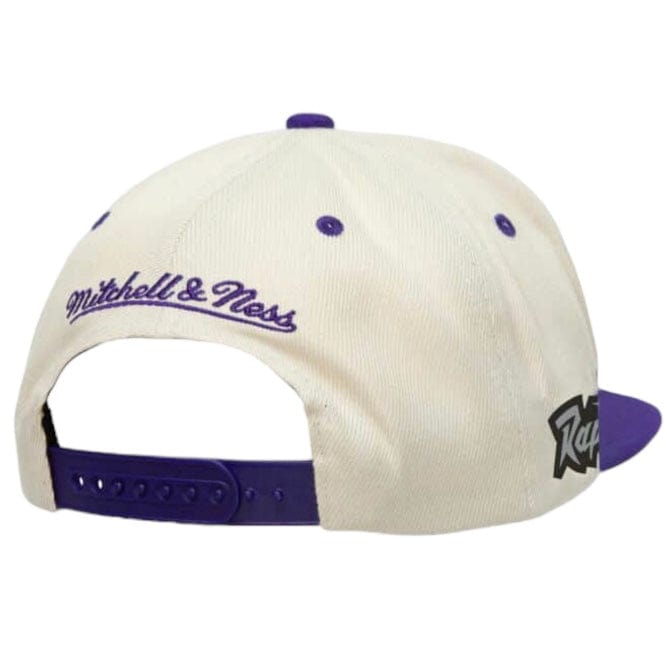 Mitchell & Ness Nba Toronto Raptors Sail 2 Tone Snapback (Off White)