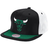 Mitchell & Ness Nba Chicago Bulls Day One Snapback (White/Green)