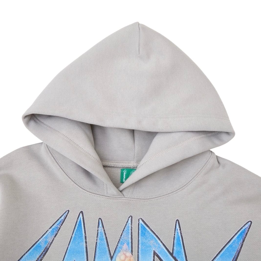 Campus Goods Broken Web Hoodie (Grey) CG-H25-034