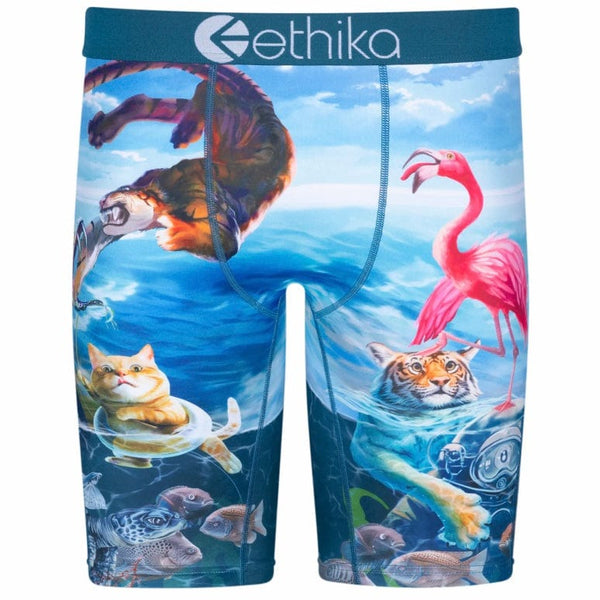 Ethika Voyage Underwear