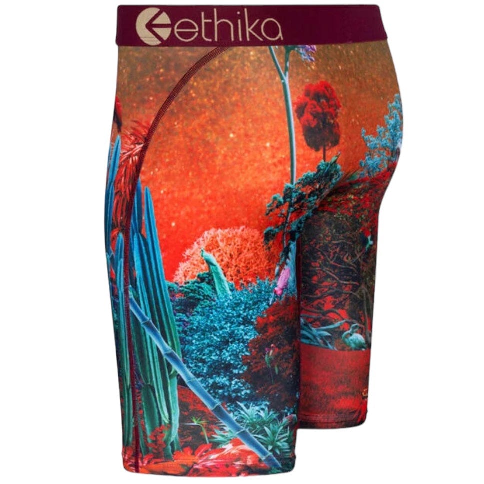 Ethika Forest Tiger Underwear