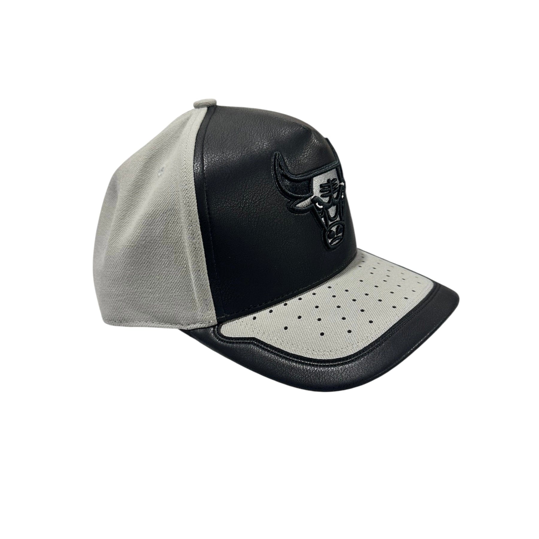 Mitchell & Ness NBA Chicago Bulls Day One Snapback (Black/Grey)