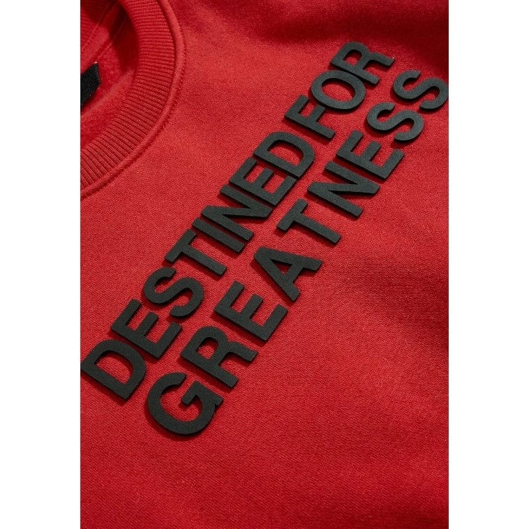 Kids Destined For Greatness Crewneck Sweatshirt (Red)