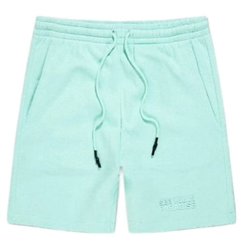 Jordan Craig Retro Paradise Tonal Shorts (Aqua) 9151S