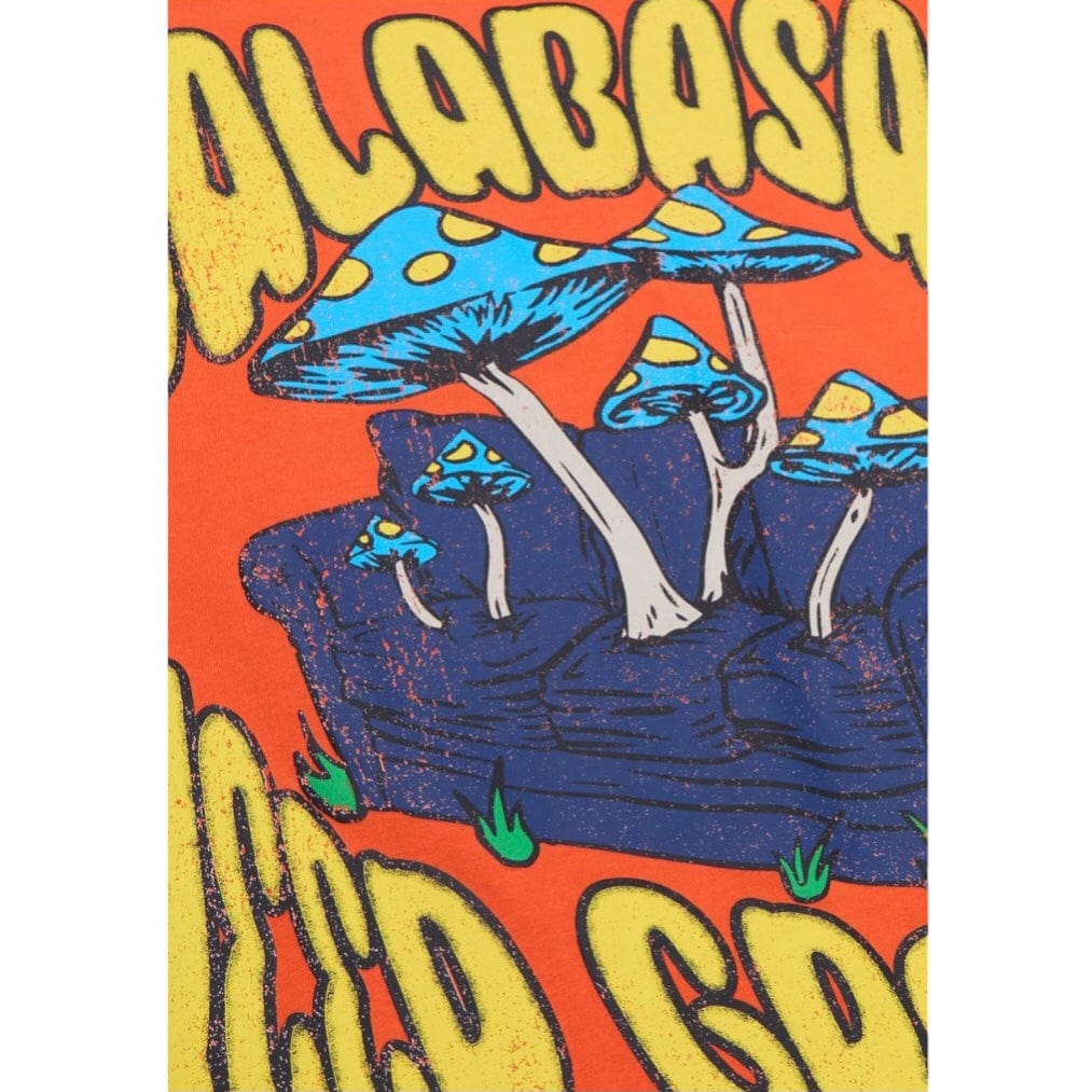 Valabasas "Growing Places" Tee (Vintage Flame Orange) VLBS90060