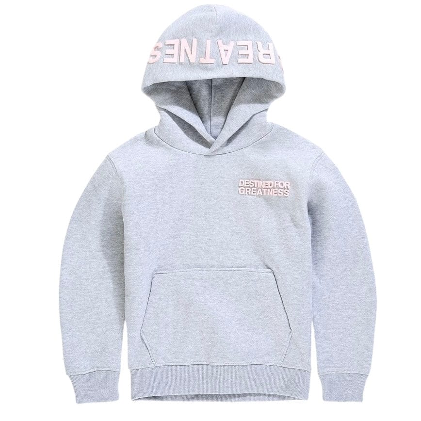 Kids Destined For Greatness Pullover Hoodie (Heather Grey)