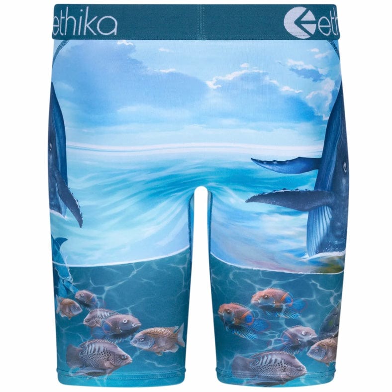 Ethika Voyage Underwear