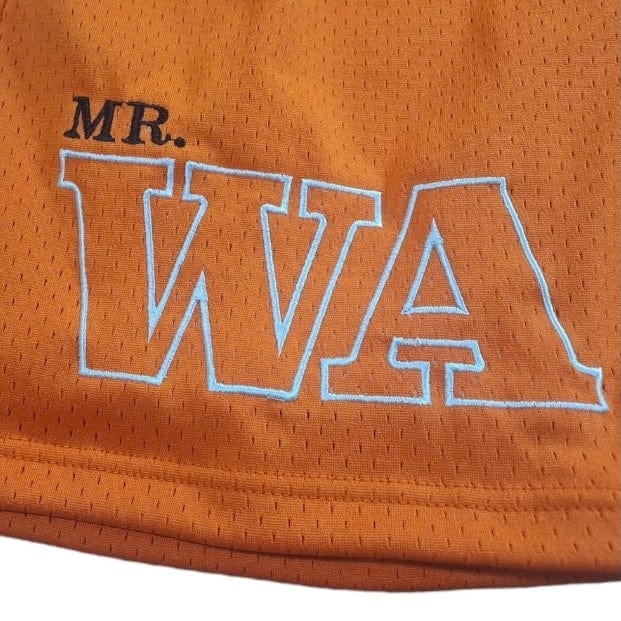 Mr.Wave Wave Mesh Shorts (Orange)