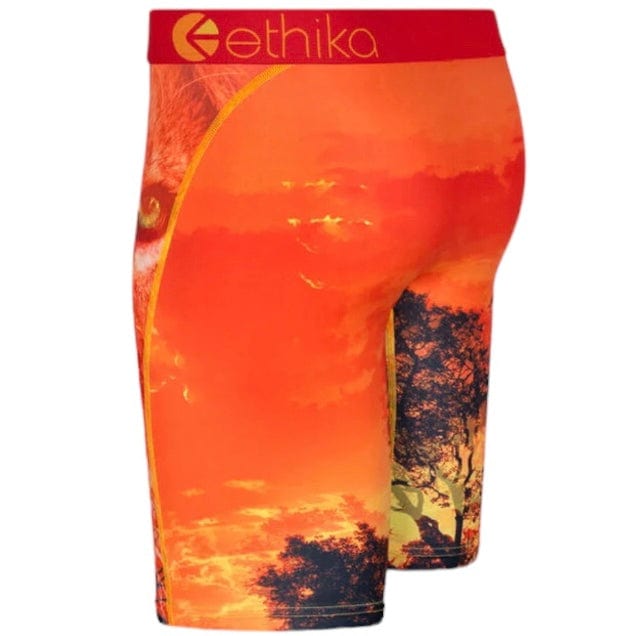 Ethika Kotj Underwear