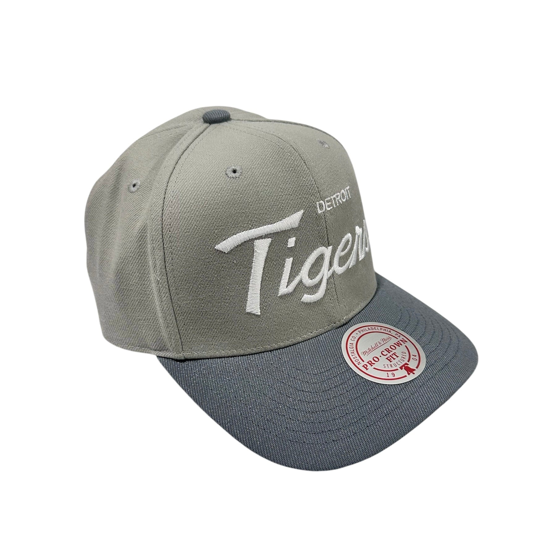 Mitchell & Ness MLB Detroit Tigers Thunderstorm Head Coach Snapback (Grey)