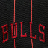 Mitchell & Ness Nba Chicago Bulls Team Pin Snapback (Black)