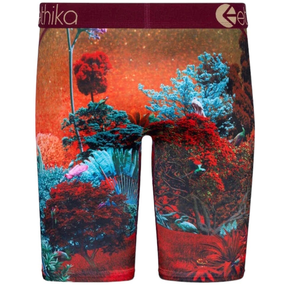 Ethika Forest Tiger Underwear