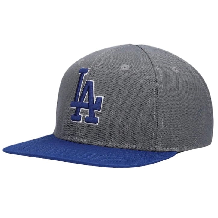 Pro Standard Los Angeles Dodgers Logo Snapback (Gray/Navy)