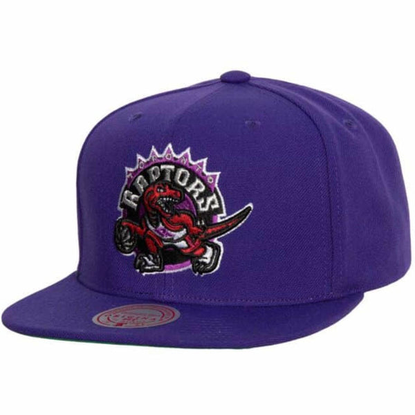 Mitchell & Ness Nba Toronto Raptors Conference Patch Snapback (Purple)