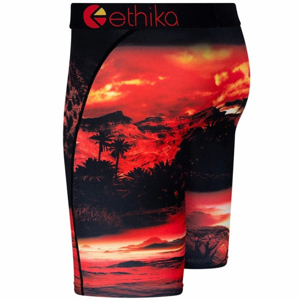 Ethika Dark Safari Underwear