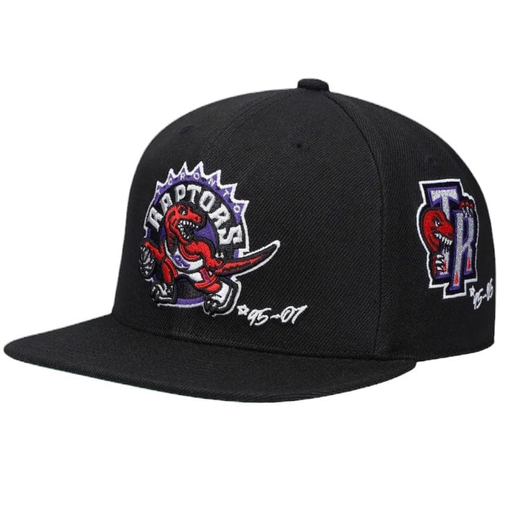 Mitchell & Ness Nba Toronto Raptors Timeline Fitted Hwc Snapback (Black)