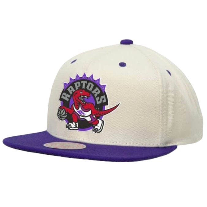 Mitchell & Ness Nba Toronto Raptors Sail 2 Tone Snapback (Off White)