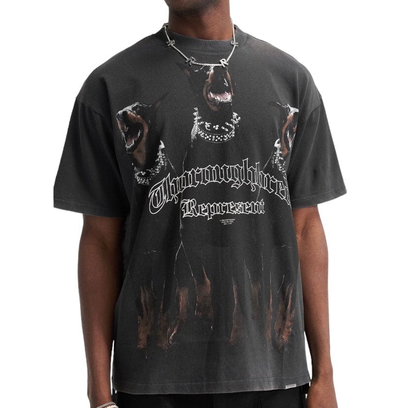 Represent Thoroughbred T Shirt (Vintage Black) MLM499-03