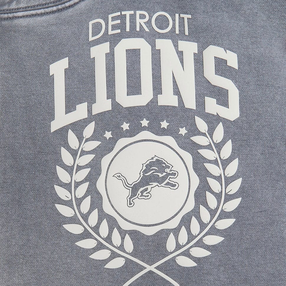 Pro Standard Detroit Lions Street Team Pullover Hoodie (Washed Grey)