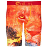 Ethika Kotj Underwear